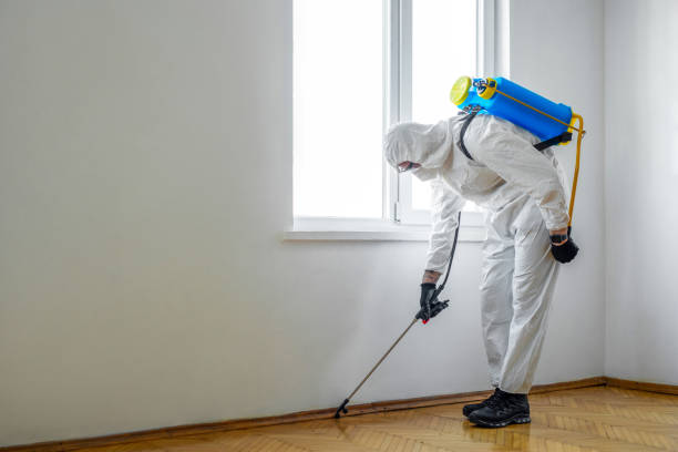 Best Mosquito Control Services  in Great Neck Gardens, NY