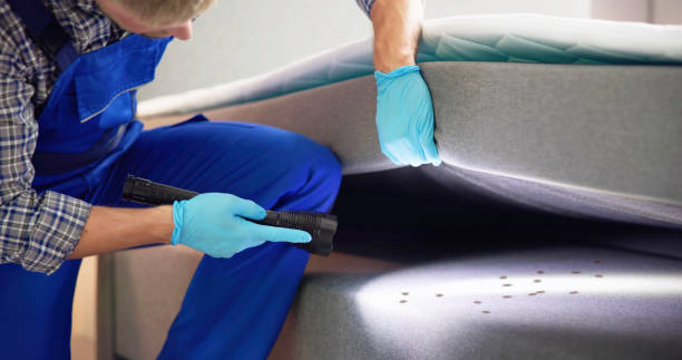 Best Pest Removal Services  in Great Neck Gardens, NY