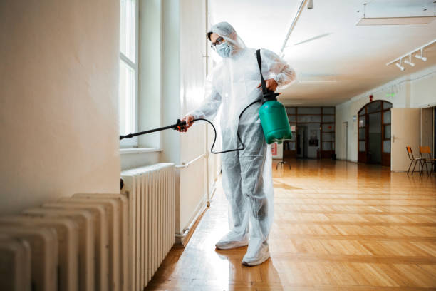 Best Flea Control Services  in Great Neck Gardens, NY