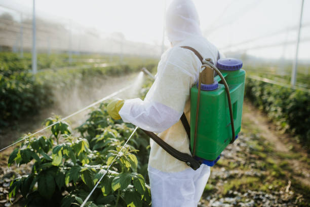 Best Exterminator Services  in Great Neck Gardens, NY